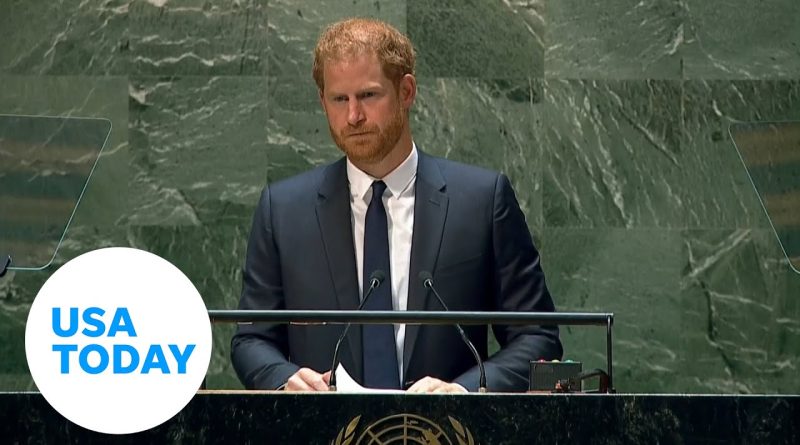 Prince Harry: 'This has been a painful year and a painful decade' | USA TODAY
