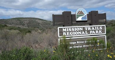 city-buys-25-acres-to-expand-wildlife-conservation-area-in-mission-trails-park-–-times-of-san-diego