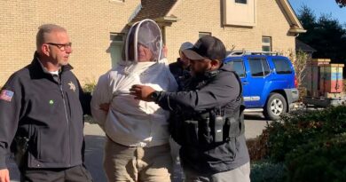 massachusetts-woman-protests-‘wrongful-eviction’-by-releasing-swarm-of-bees-on-police-–-usa-today