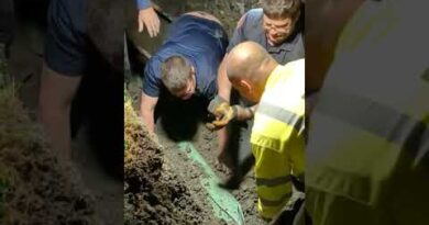 Heroic rescuers save 13-year-old dog stuck in a sewer line | USA TODAY #Shorts