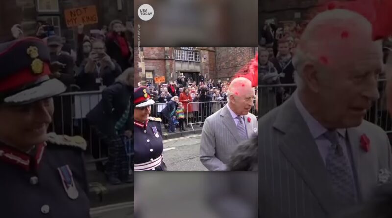 Man throws eggs at King Charles III and Queen Consort Camilla | USA TODAY #Shorts