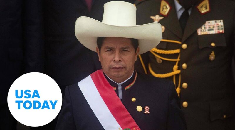Pedro Castillo removed from office in Peru, arrested for rebellion | USA TODAY