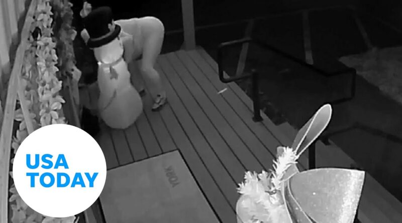 Thief steals Christmas snowman decor from North Carolina business | USA TODAY