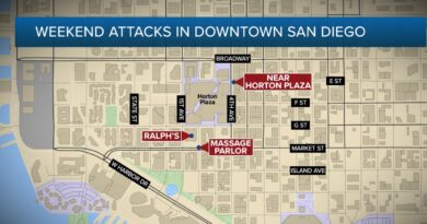 man-accused-of-carrying-out-a-string-of-attacks-in-downtown-san-diego-–-abc-10-news-san-diego-kgtv